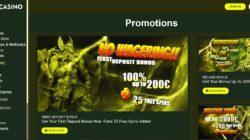 Thor Casino Bonuses
