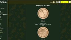 Thor Casino Loyalty