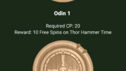 Thor Casino Loyalty